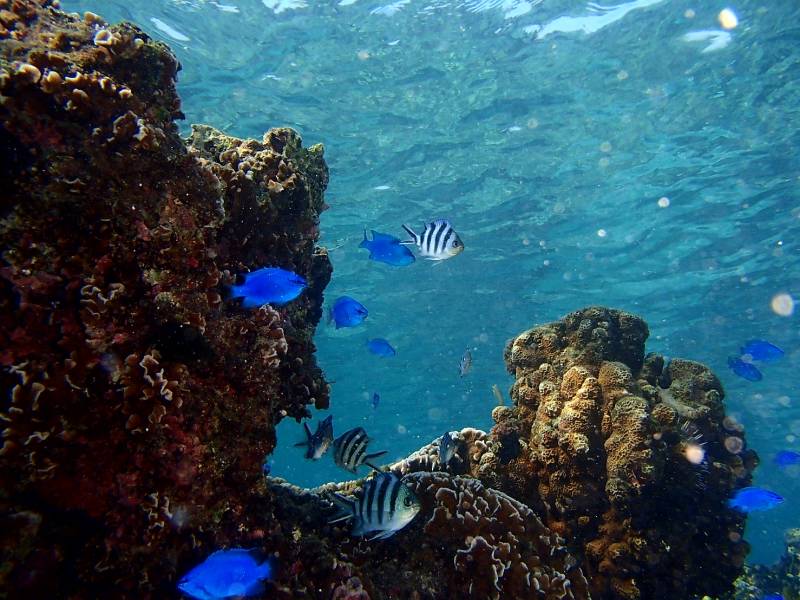 ３泊４日沖縄旅行