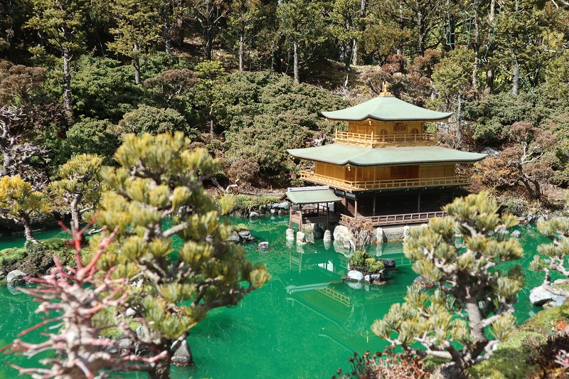 栃木で世界旅行