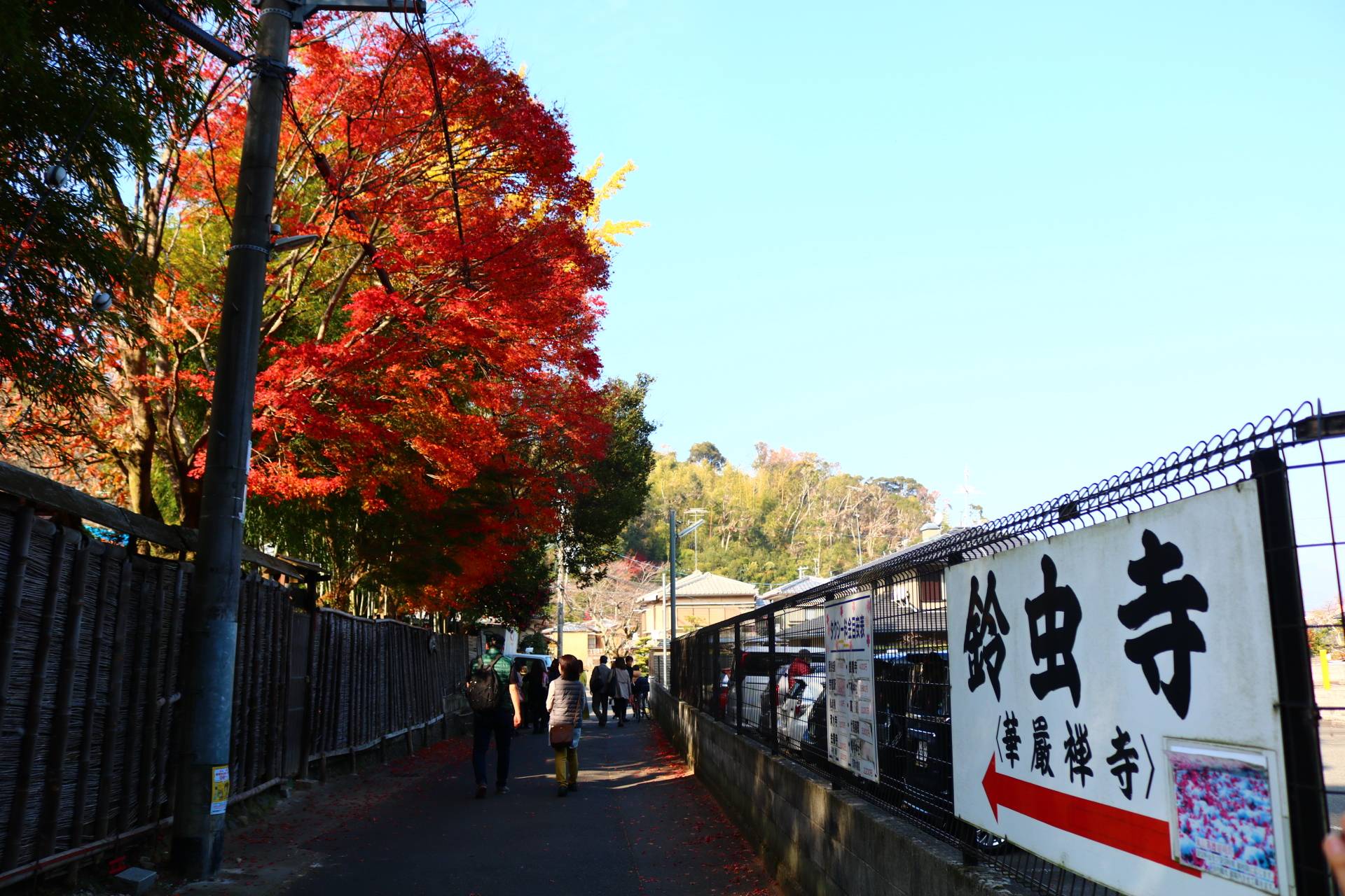 日帰り京都旅